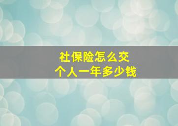 社保险怎么交 个人一年多少钱